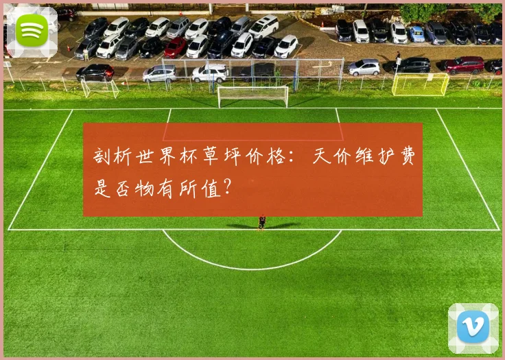 剖析世界杯草坪价格:天价维护费是否物有所值?