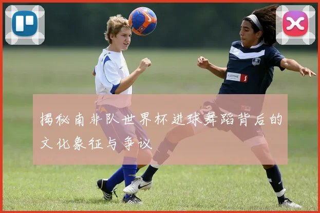 揭秘南非队世界杯进球舞蹈背后的文化象征与争议