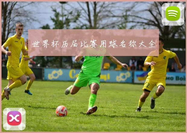 世界杯历届比赛用球名称大全