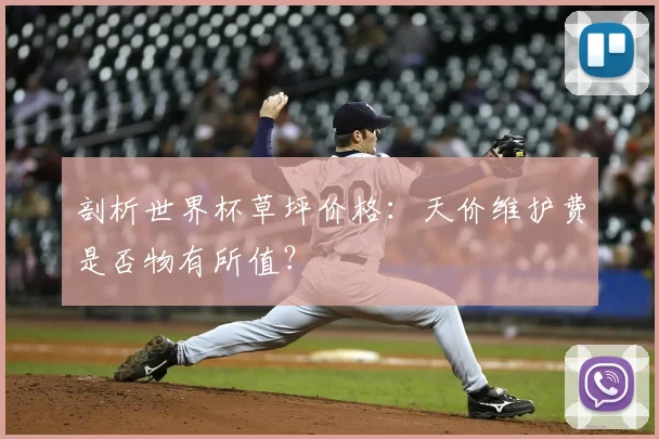 剖析世界杯草坪价格:天价维护费是否物有所值?