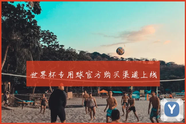 世界杯专用球官方购买渠道上线