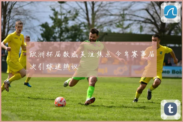 欧洲杯届数成关注焦点 今年赛事届次引球迷热议