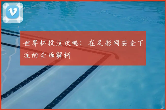世界杯投注攻略:在足彩网安全下注的全面解析