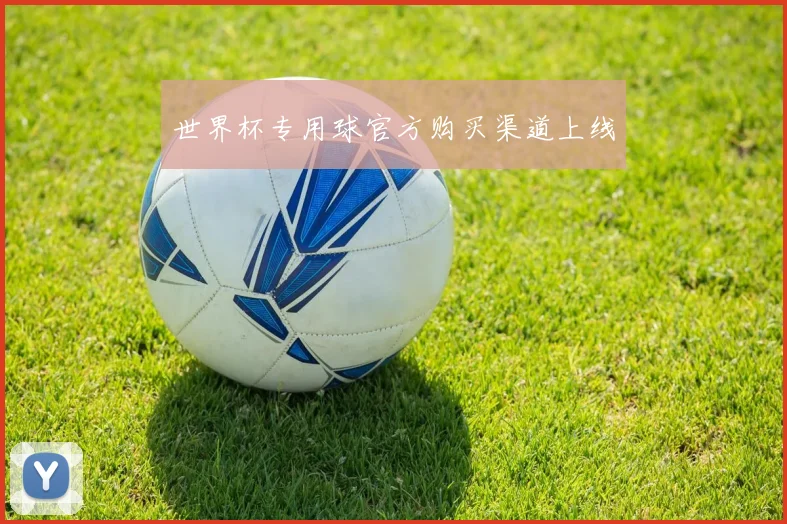 世界杯专用球官方购买渠道上线