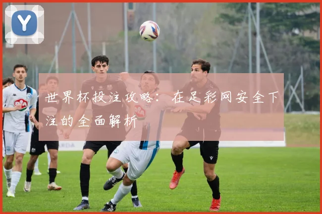世界杯投注攻略：在足彩网安全下注的全面解析