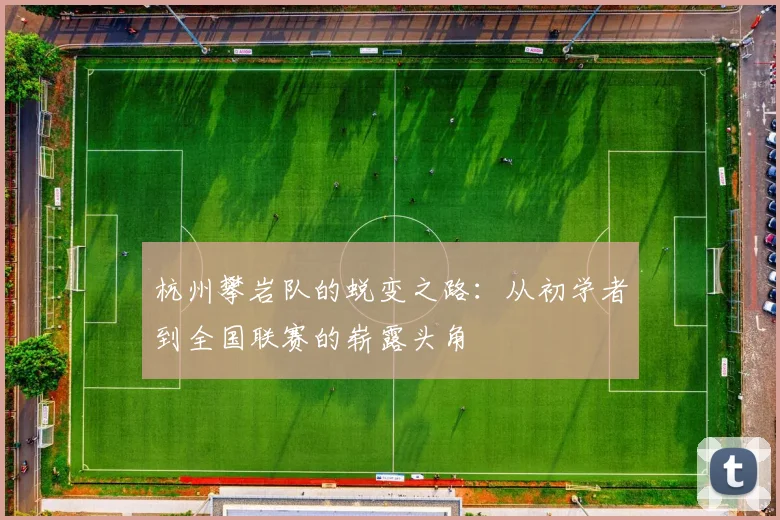 杭州攀岩队的蜕变之路:从初学者到全国联赛的崭露头角