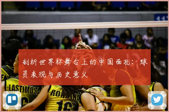 剖析世界杯舞台上的中国面孔:球员表现与历史意义